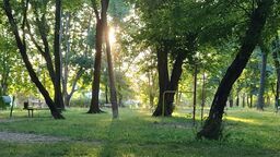 Nowa odsłona Ogródka Jordanowskiego ma stać się wzorcowym przykładem adaptacji miejskiej przestrzeni do wyzwań klimatycznych