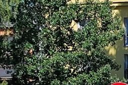 Prace realizowane są od roku. Finał na Kościuszki nie w lipcu