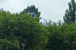 Wahadło na wylotówce z miasta. Zedrą asfalt, wyleją nowy