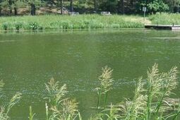 37-latka utonęła w Majdanie Sopockim