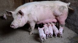 Zdjęcie ilustracyjne 