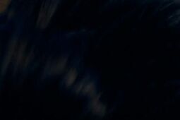 To najpopularniejszy kierunek na Politechnice Lubelskiej