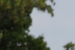 „Przed sierpniem był lipiec”. Lublin pamięta o bohaterach Lubelskiego Lipca ’80