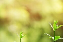 Sankcja kredytu darmowego (SKD) - najważniejsze informacje