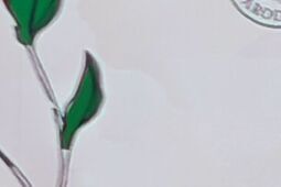 „Wołają o krzyż, nie o zemstę” – apel Karola Nawrockiego z Chełma do Zełenskiego