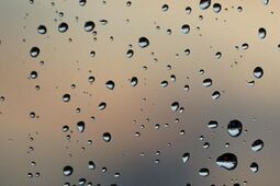 Przed nami deszczowe dni. Nadciągnął Niż Genueński