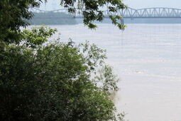 Poziom wody w rzekach coraz niższy. To problem również w Lubelskiem