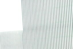 Święto Policji w Lublinie. Piknik dla mieszkańców i uroczysty apel z awansami