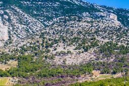 Idealny wyjazd? Postaw na Chorwację i jej malownicze wyspy!