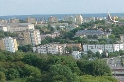 Fakty i ustalenia w kontrze do listu organizacji żydowskiej ws. górek czechowskich