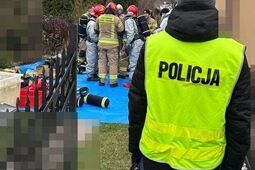 Trutka na gryzonie zabiła dziecko. Prokuratura zawiesza śledztwo