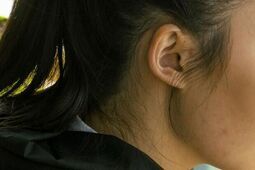 Tanie zakupy spożywcze online w Warszawie – sposób na kontrolę domowego budżetu