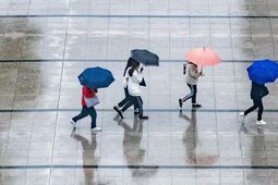 Deszczowo i burzowo. IMGW wydaje alert dla części województwa