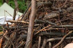 Moc atrakcji w roztoczańskim lesie. RPN zaprasza na Dzień Otwarty