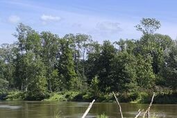 Kolejne dwa ciała wyłowione z Bugu