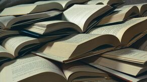 Lista lektur: propozycje, cięcia i reforma edukacji. MEN reaguje i wyjaśnia 