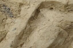 Cmentarz o którym nikt nie wiedział. Odkryty przypadkiem podczas remontu drogi