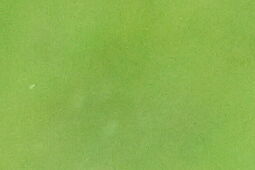 Cezary Kulesza coraz bliżej znalezienia selekcjonera dla reprezentacji Polski