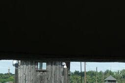 Pamięć o nich nie może umrzeć. 81. rocznica likwidacji KL Majdanek