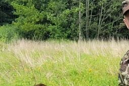 Pod Dubienką kolejne odkrycie. Taka kula to rzadkość