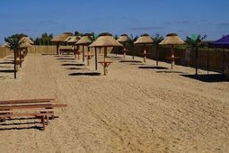 Lato w pełni, a sanepid nakazał zamknięcie dwóch kąpielisk w Lubelskiem