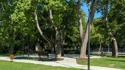 Skwer im. Abp. Józefa Życińskiego bardziej zielony. Przebudowa zakończona