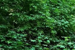 Kiedyś mieszkańcy chcieli odnowy tego miejsca. Czy basen wróci na Tatary?