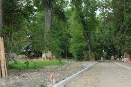 Trwa rewaloryzacja Parku Bronowickiego. Prace nabierają tempa