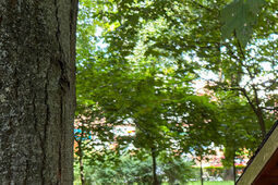 Budki na książki. Radny chce propagować czytelnictwo w Lublinie