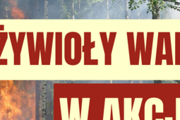 Burze, upały i pożary. Jak się chronić przed zagrożeniami lata?