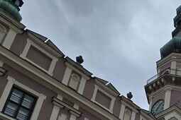 Ratuszowe schody po remoncie. „Bez zacieków, szarości i odpadającego tynku”