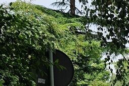 Wallenroda już z nową nawierzchnią i bez utrudnień