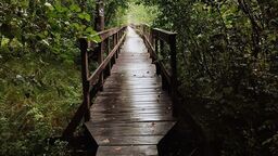 Popularna trasa zostanie zamknięta. Później ma być lepiej