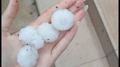 Grad w rejonie Lubartowa