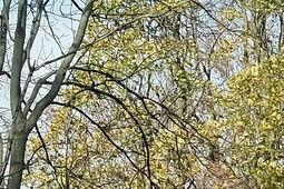 Zdrowie przede wszystkim. Zobacz gdzie w lipcu zaparkuje mammobus