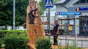 Artyści rzeźbiarze przy pracy nad pniem dębu „Wiktor”