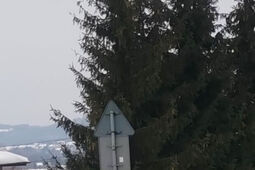 Fotoradary w I półroczu 2025 r. zarejestrowały ponad 324 tys. przekroczeń prędkości