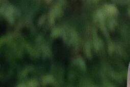 Poznaliśmy pary I rundy Pucharu Polski na szczeblu LZPN