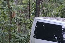 Poważny wypadek w gminie Trzebieszów – dziewięć osób rannych