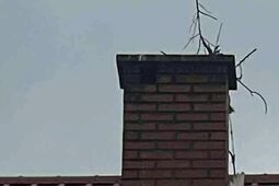 Strażacy uratowali boćka