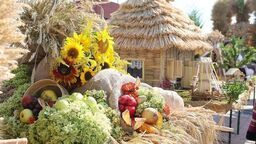 Zdjęcie ilustracyjne