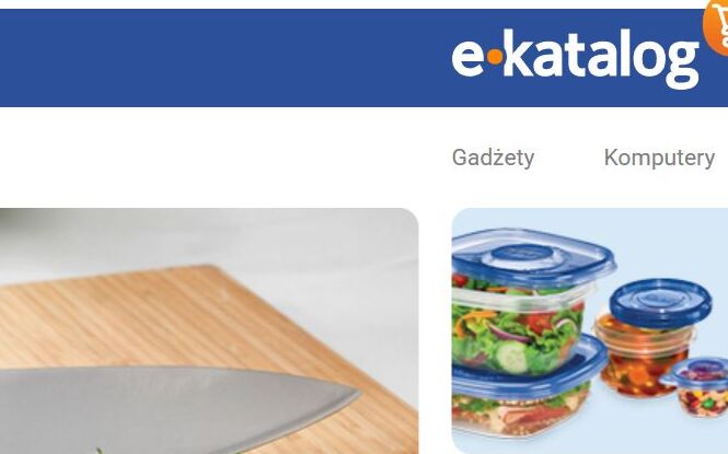 Jak korzystać z E-katalog i w jaki sposób pomaga on w wyborze produktów