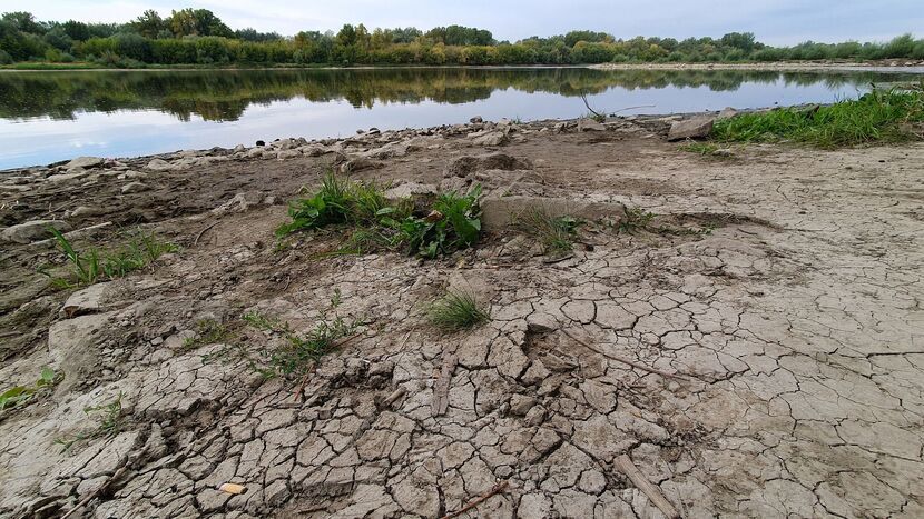 Wisła wysycha. W sierpniu padł rekord