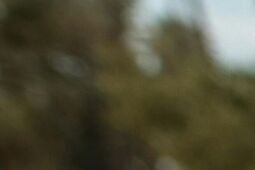 Jak poradzić sobie z lękiem?