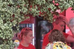 Chmielaki 2025 już wkrótce. Jaki program? Po ile bilety? Gdzie wstęp wolny?