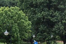 Przebudowa Błoni pod Zamkiem. Rusza wyczekiwany projekt