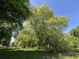 Cztery nowe pomniki w mieście. Niektóre mają już 120 lat