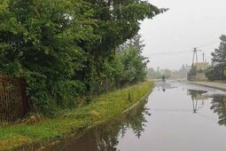Nie będzie już problemów z zalewaniem ulicy. Grzybowa idzie do remontu