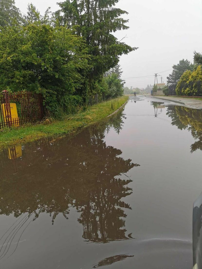 Zastoisko wody przy ulicy Grzybowej w 2023 roku 