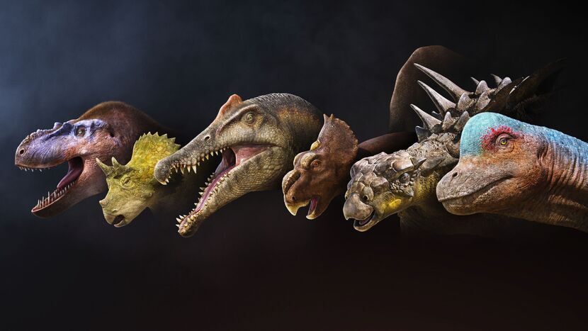 Wędrówki z dinozaurami: Nowa wyprawa do prehistorycznego świata (wideo)